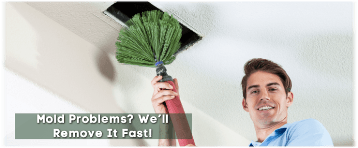 Air Duct Mold Removal in League City TX