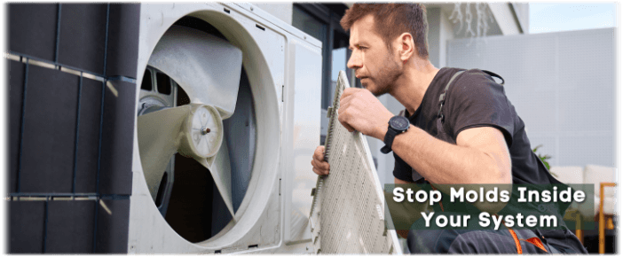 HVAC Mold Removal League City TX